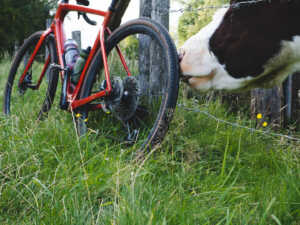 Deurdonderen Gravel Route